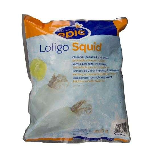 Loligo squid 